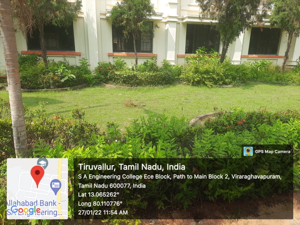 Tree plantation activity